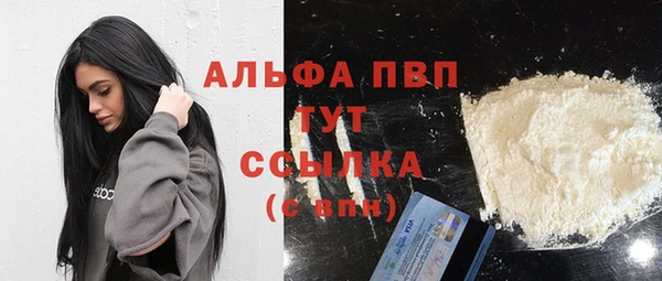 соль ск Новодвинск