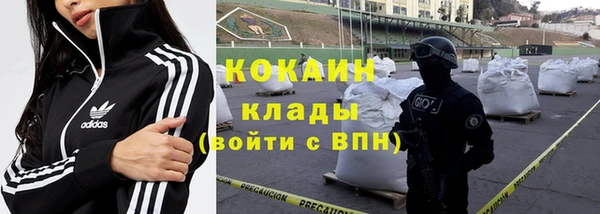 соль ск Новодвинск
