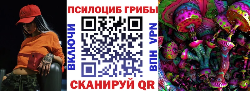 Галлюциногенные грибы Psilocybe  сколько стоит  Анапа 